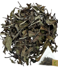 China White Tea - (Gong Mei) 